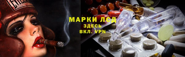 спайс Аркадак