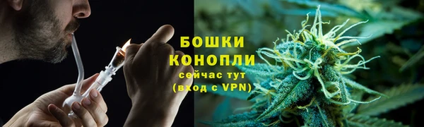 молекула духа Арсеньев