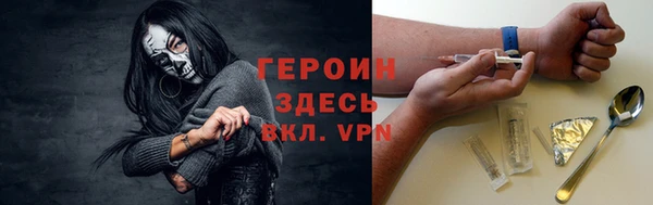 молекула духа Арсеньев