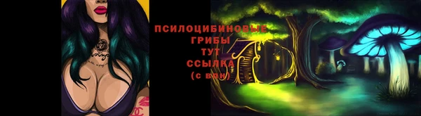 молекула духа Арсеньев