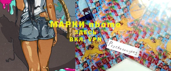 молекула духа Арсеньев