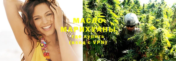 молекула духа Арсеньев