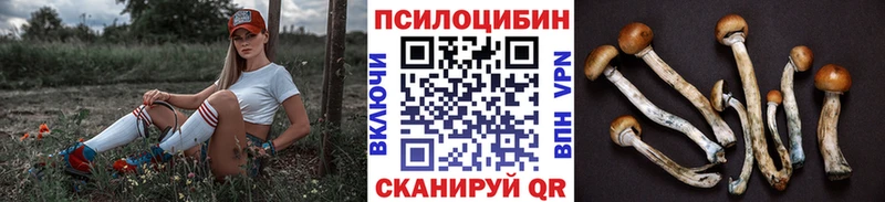 Псилоцибиновые грибы MAGIC MUSHROOMS  Багратионовск 
